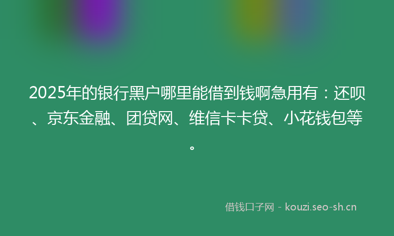 2025年的银行黑户哪里能借到钱啊急用有：还呗、京东金融、团贷网、维信卡卡贷、小花钱包等。