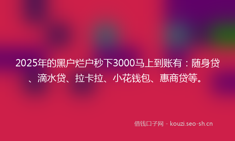 2025年的黑户烂户秒下3000马上到账有：随身贷、滴水贷、拉卡拉、小花钱包、惠商贷等。