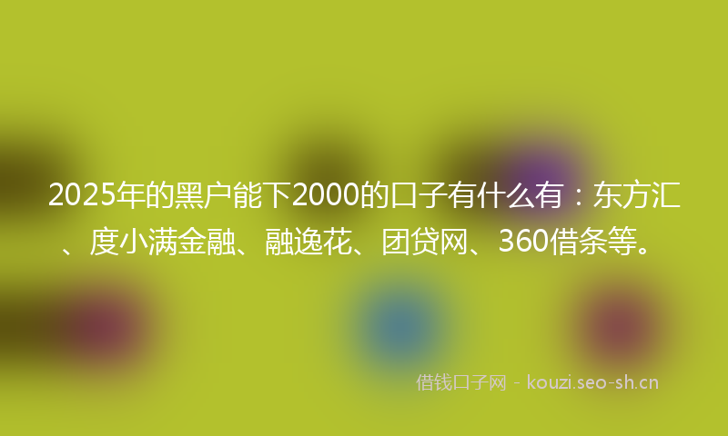 2025年的黑户能下2000的口子有什么有：东方汇、度小满金融、融逸花、团贷网、360借条等。