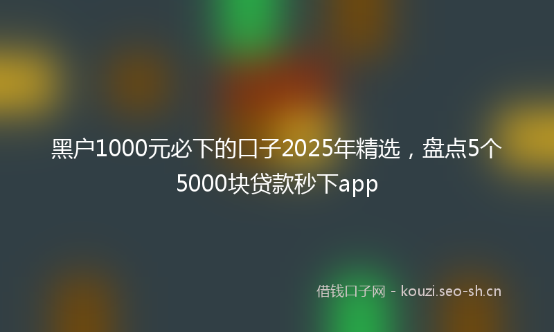 黑户1000元必下的口子2025年精选，盘点5个5000块贷款秒下app