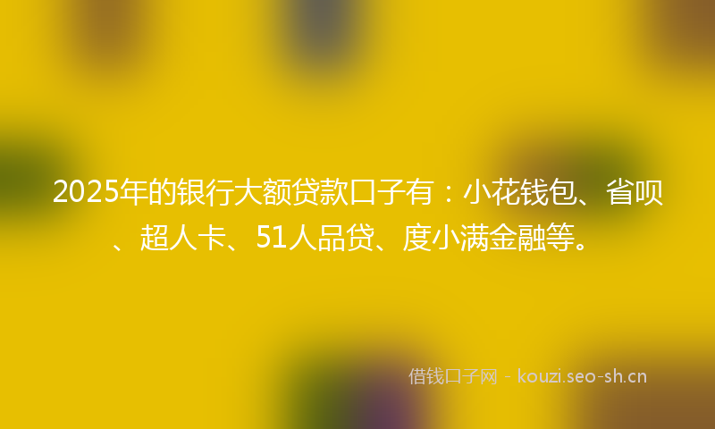2025年的银行大额贷款口子有：小花钱包、省呗、超人卡、51人品贷、度小满金融等。