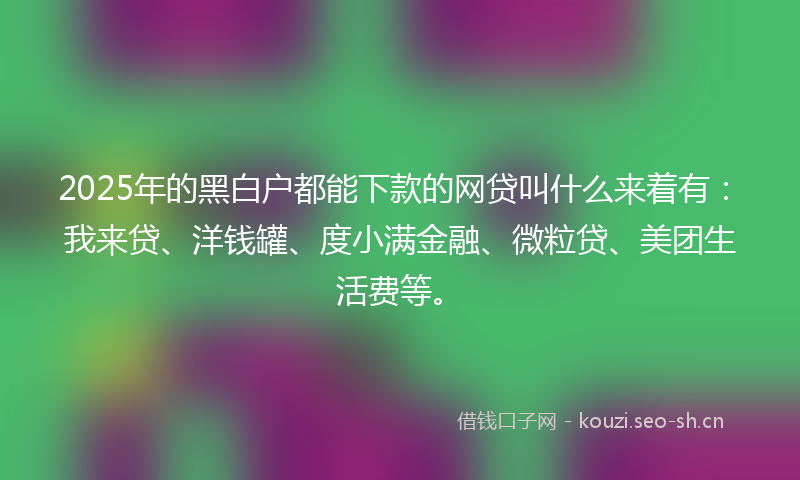 2025年的黑白户都能下款的网贷叫什么来着有：我来贷、洋钱罐、度小满金融、微粒贷、美团生活费等。