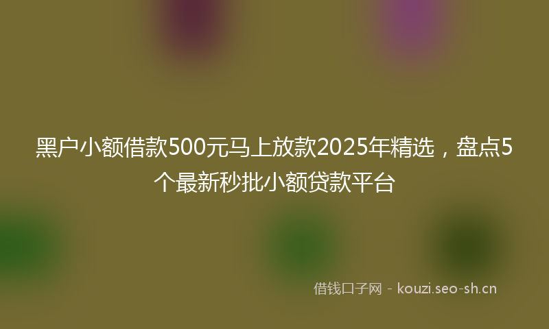 黑户小额借款500元马上放款2025年精选，盘点5个最新秒批小额贷款平台