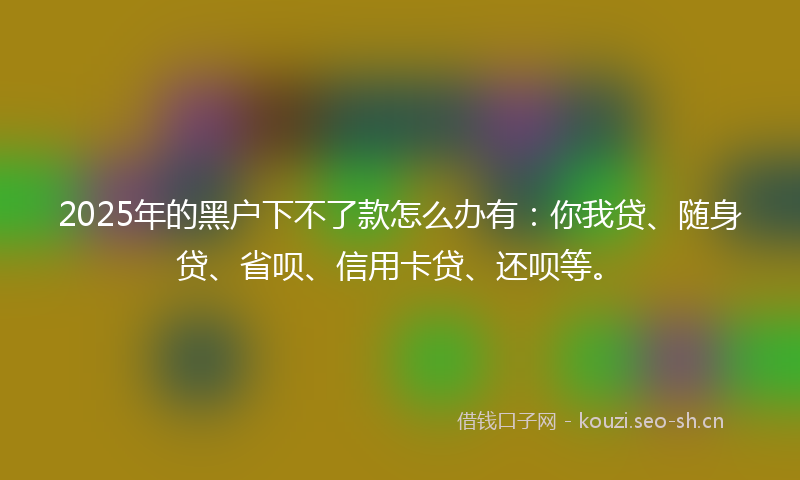 2025年的黑户下不了款怎么办有：你我贷、随身贷、省呗、信用卡贷、还呗等。