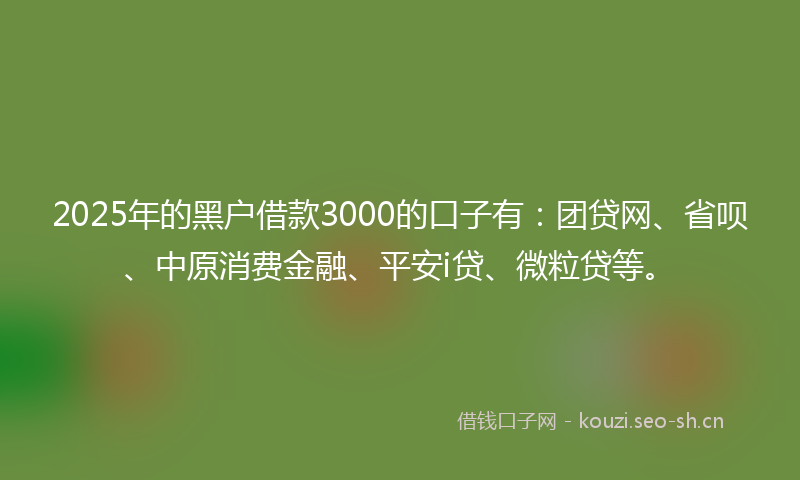 2025年的黑户借款3000的口子有:团贷网、省呗、中原消费金融、平安i贷、微粒贷等。