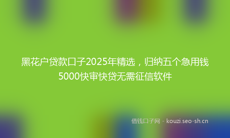 黑花户贷款口子2025年精选，归纳五个急用钱5000快审快贷无需征信软件
