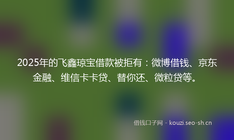 2025年的飞鑫琼宝借款被拒有：微博借钱、京东金融、维信卡卡贷、替你还、微粒贷等。