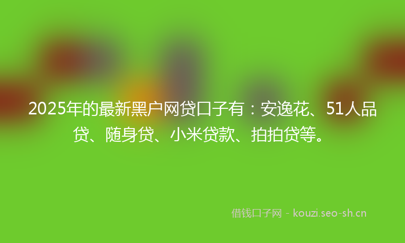 2025年的最新黑户网贷口子有：安逸花、51人品贷、随身贷、小米贷款、拍拍贷等。
