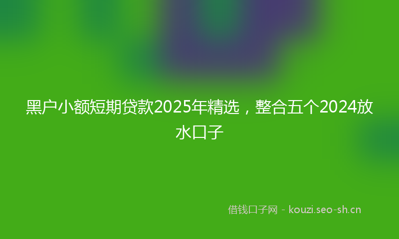 黑户小额短期贷款2025年精选，整合五个2024放水口子