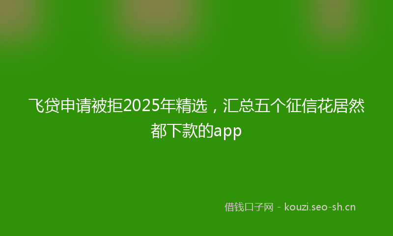 飞贷申请被拒2025年精选，汇总五个征信花居然都下款的app