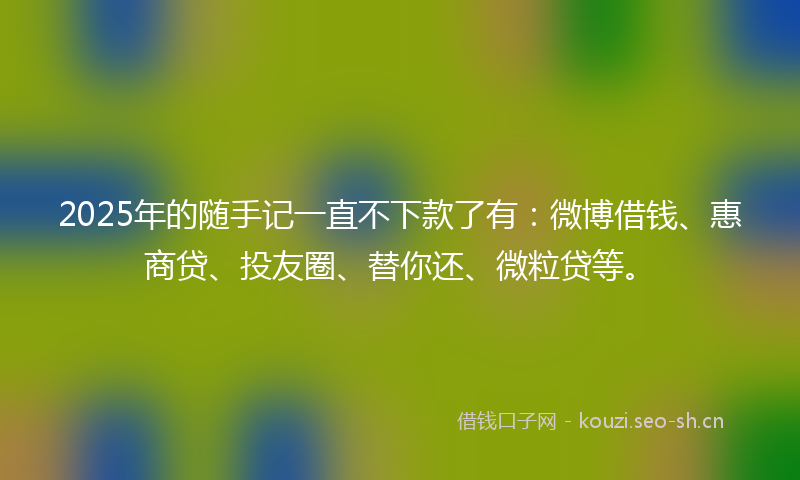 2025年的随手记一直不下款了有：微博借钱、惠商贷、投友圈、替你还、微粒贷等。