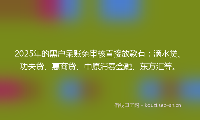 2025年的黑户呆账免审核直接放款有：滴水贷、功夫贷、惠商贷、中原消费金融、东方汇等。