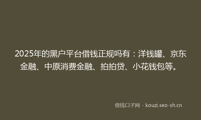 2025年的黑户平台借钱正规吗有：洋钱罐、京东金融、中原消费金融、拍拍贷、小花钱包等。