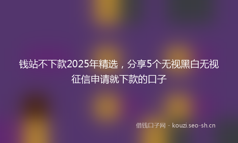 钱站不下款2025年精选，分享5个无视黑白无视征信申请就下款的口子