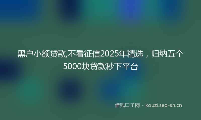 黑户小额贷款,不看征信2025年精选，归纳五个5000块贷款秒下平台