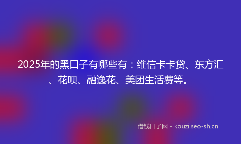 2025年的黑口子有哪些有：维信卡卡贷、东方汇、花呗、融逸花、美团生活费等。