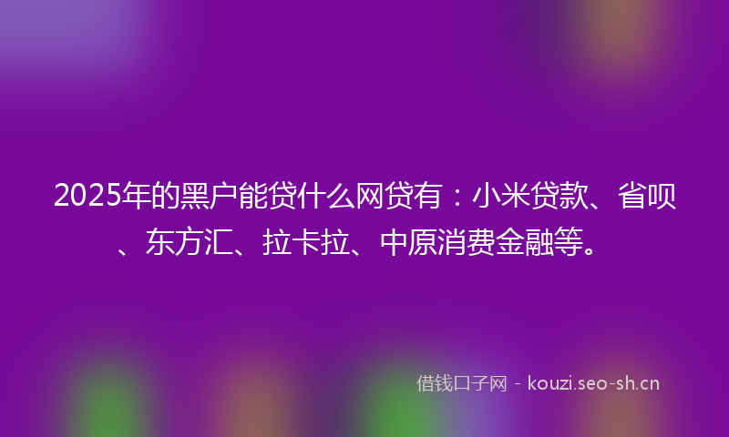 2025年的黑户能贷什么网贷有：小米贷款、省呗、东方汇、拉卡拉、中原消费金融等。