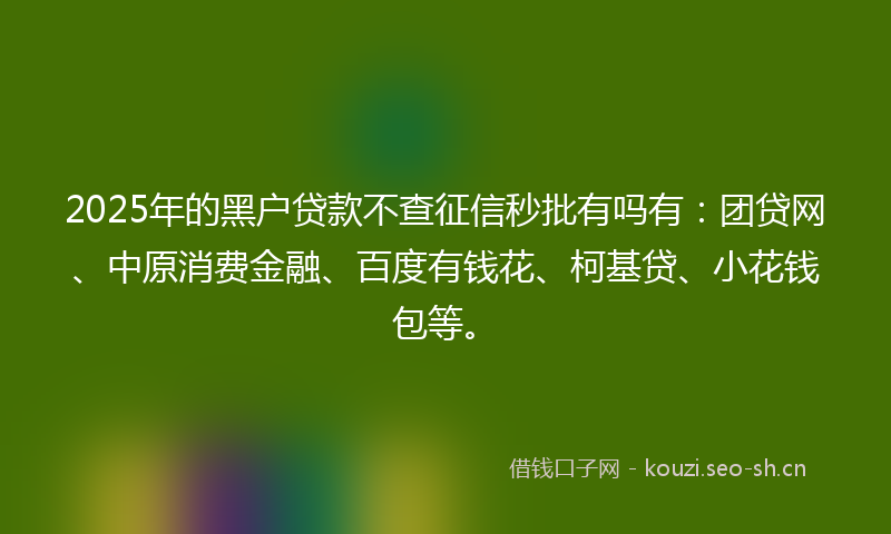 2025年的黑户贷款不查征信秒批有吗有：团贷网、中原消费金融、百度有钱花、柯基贷、小花钱包等。