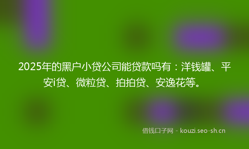2025年的黑户小贷公司能贷款吗有：洋钱罐、平安i贷、微粒贷、拍拍贷、安逸花等。
