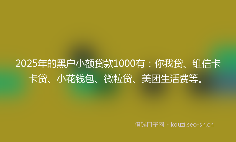 2025年的黑户小额贷款1000有：你我贷、维信卡卡贷、小花钱包、微粒贷、美团生活费等。