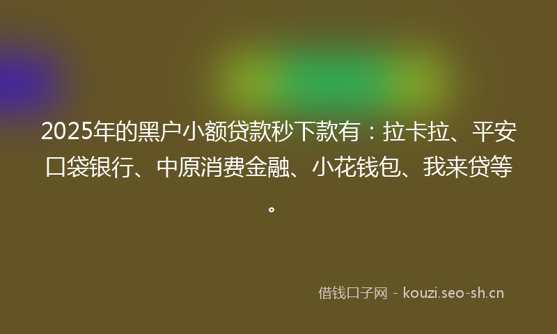 2025年的黑户小额贷款秒下款有：拉卡拉、平安口袋银行、中原消费金融、小花钱包、我来贷等。