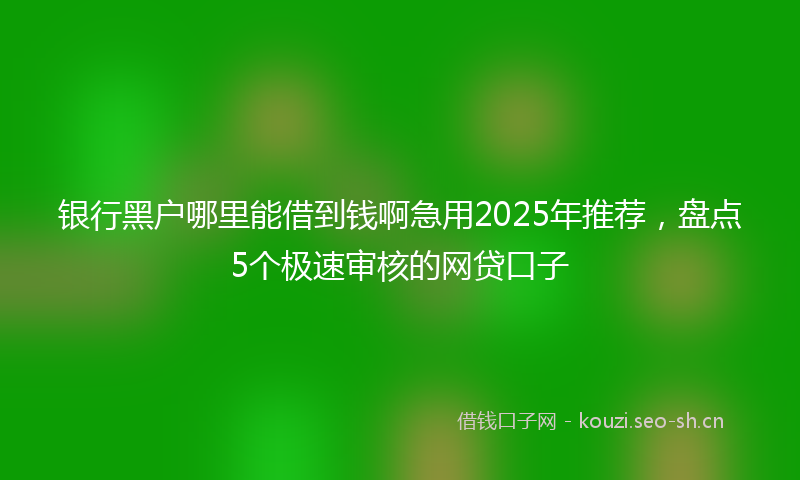 银行黑户哪里能借到钱啊急用2025年推荐，盘点5个极速审核的网贷口子