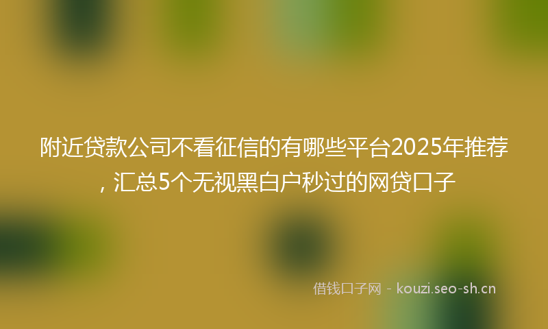 附近贷款公司不看征信的有哪些平台2025年推荐，汇总5个无视黑白户秒过的网贷口子