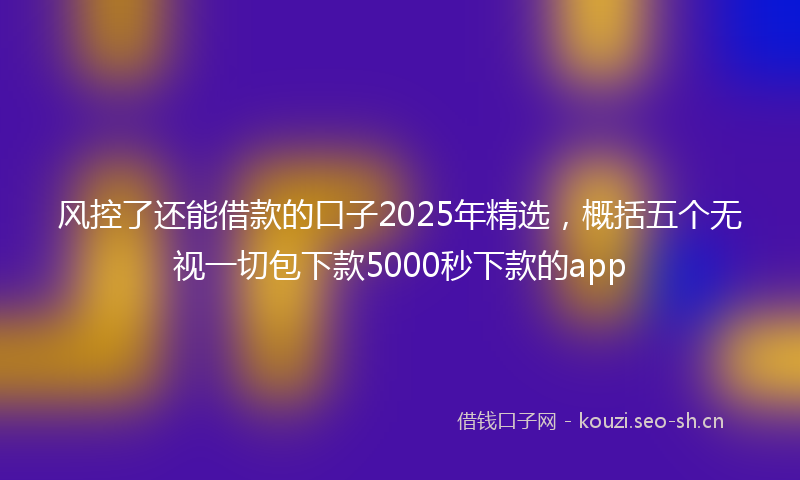 风控了还能借款的口子2025年精选,概括五个无视一切包下款5000秒下款的app