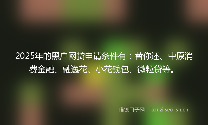 2025年的黑户网贷申请条件有：替你还、中原消费金融、融逸花、小花钱包、微粒贷等。