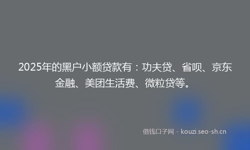 2025年的黑户小额贷款有：功夫贷、省呗、京东金融、美团生活费、微粒贷等。