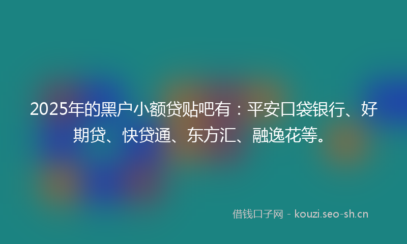 2025年的黑户小额贷贴吧有:平安口袋银行、好期贷、快贷通、东方汇、融逸花等。