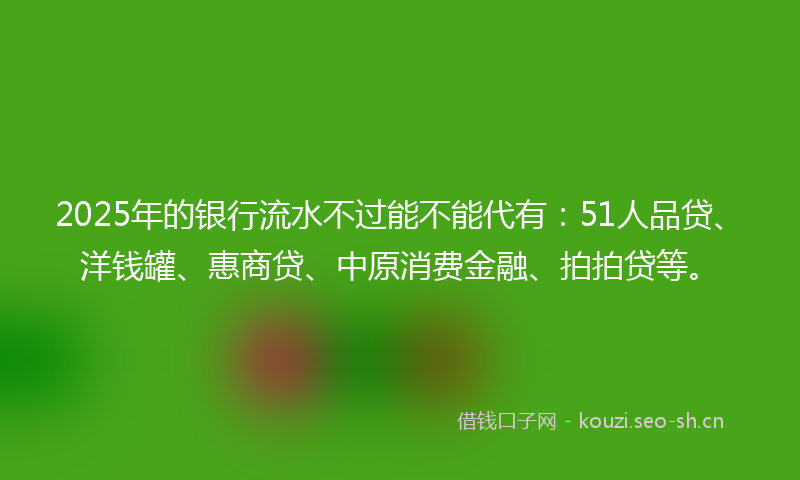 2025年的银行流水不过能不能代有：51人品贷、洋钱罐、惠商贷、中原消费金融、拍拍贷等。