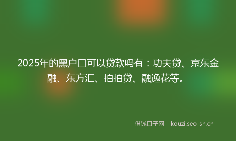 2025年的黑户口可以贷款吗有:功夫贷、京东金融、东方汇、拍拍贷、融逸花等。