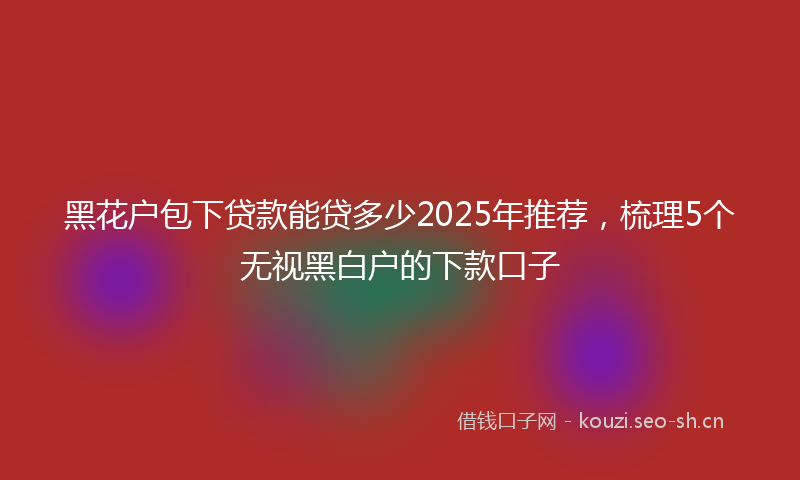黑花户包下贷款能贷多少2025年推荐，梳理5个无视黑白户的下款口子