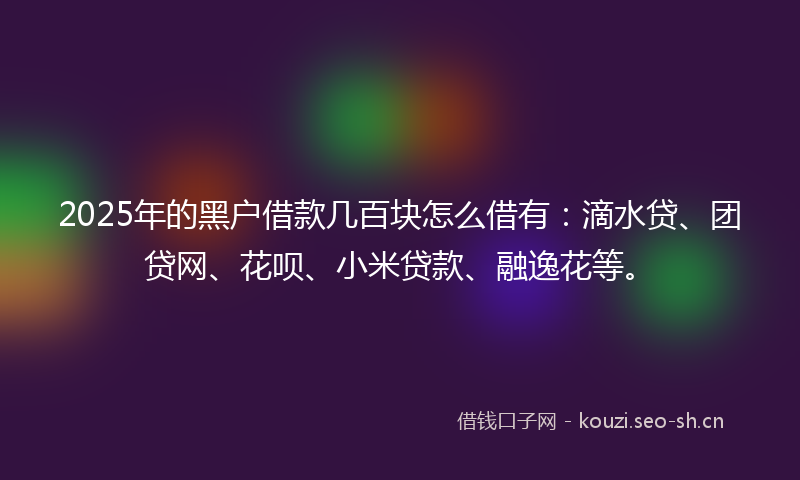 2025年的黑户借款几百块怎么借有：滴水贷、团贷网、花呗、小米贷款、融逸花等。