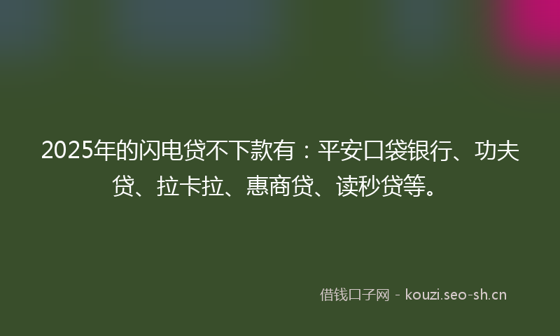 2025年的闪电贷不下款有：平安口袋银行、功夫贷、拉卡拉、惠商贷、读秒贷等。