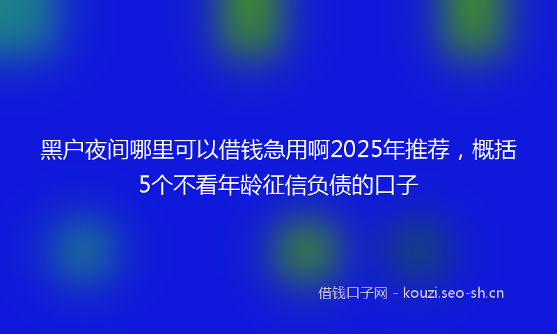 黑户夜间哪里可以借钱急用啊2025年推荐,概括5个不看年龄征信负债的口子