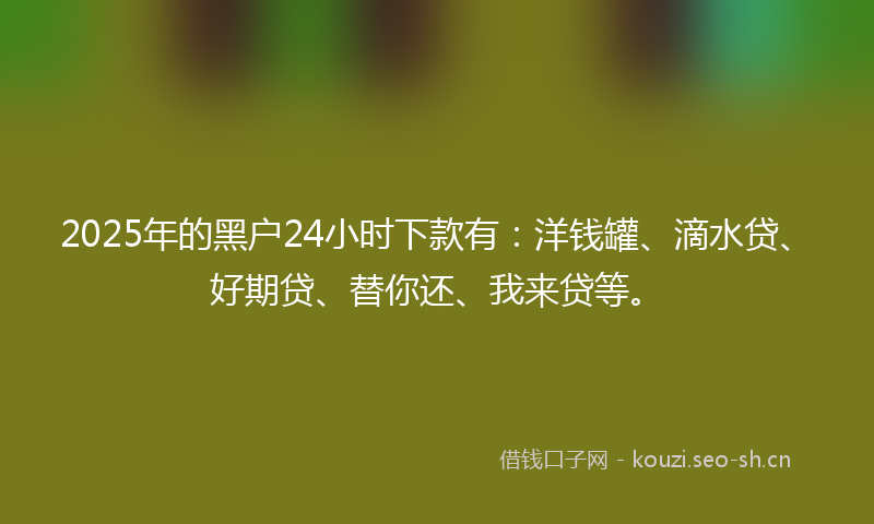 2025年的黑户24小时下款有：洋钱罐、滴水贷、好期贷、替你还、我来贷等。