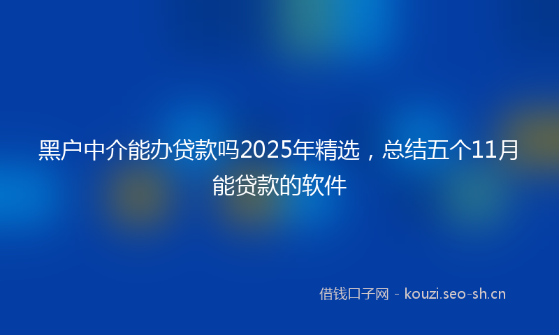 黑户中介能办贷款吗2025年精选，总结五个11月能贷款的软件