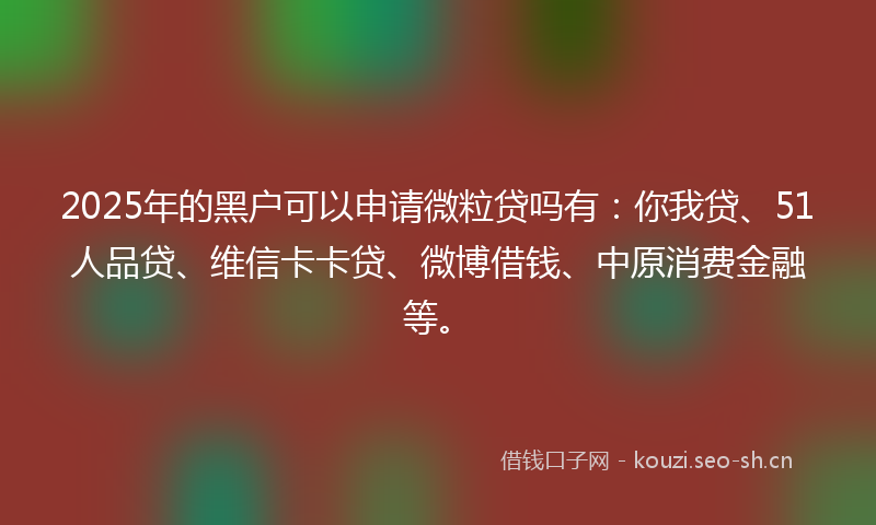 2025年的黑户可以申请微粒贷吗有:你我贷、51人品贷、维信卡卡贷、微博借钱、中原消费金融等。