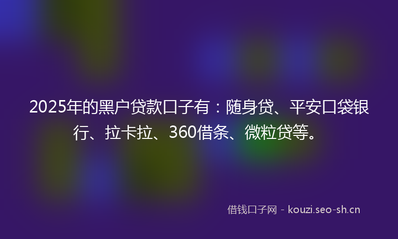 2025年的黑户贷款口子有：随身贷、平安口袋银行、拉卡拉、360借条、微粒贷等。