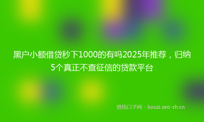 黑户小额借贷秒下1000的有吗2025年推荐，归纳5个真正不查征信的贷款平台