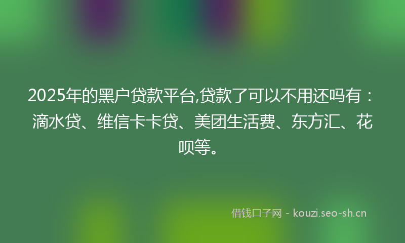2025年的黑户贷款平台,贷款了可以不用还吗有：滴水贷、维信卡卡贷、美团生活费、东方汇、花呗等。
