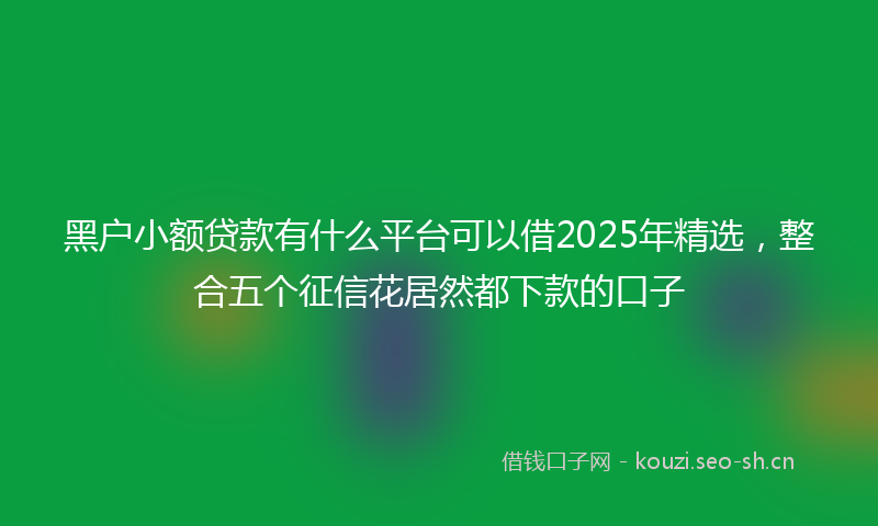 黑户小额贷款有什么平台可以借2025年精选，整合五个征信花居然都下款的口子