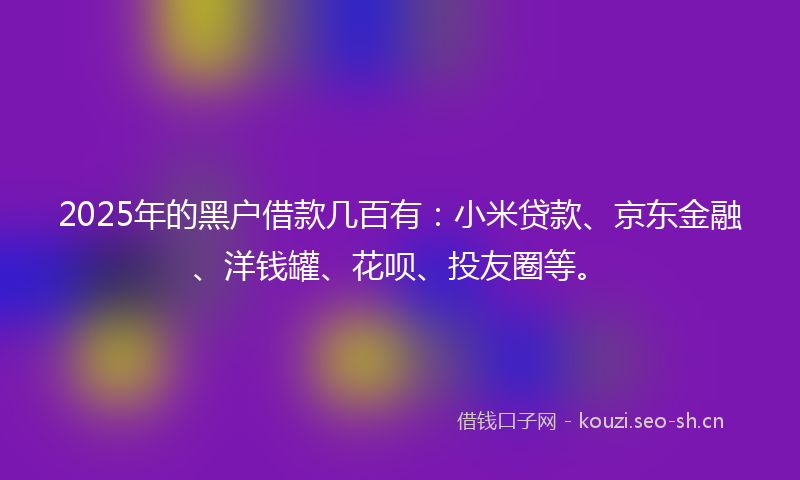 2025年的黑户借款几百有：小米贷款、京东金融、洋钱罐、花呗、投友圈等。
