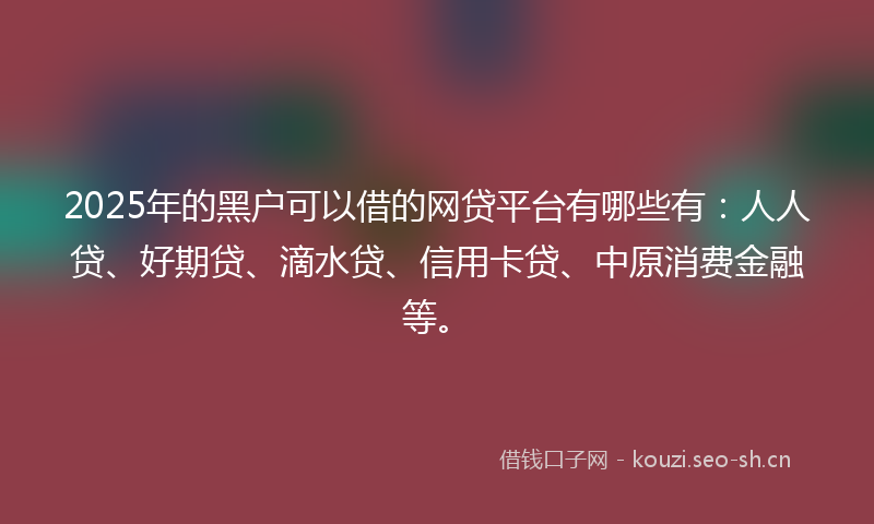 2025年的黑户可以借的网贷平台有哪些有：人人贷、好期贷、滴水贷、信用卡贷、中原消费金融等。