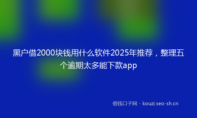 黑户借2000块钱用什么软件2025年推荐，整理五个逾期太多能下款app