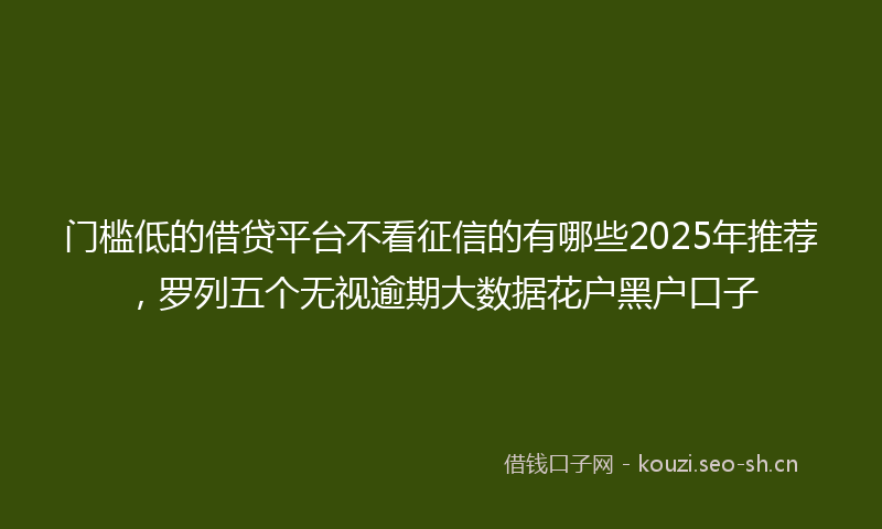门槛低的借贷平台不看征信的有哪些2025年推荐，罗列五个无视逾期大数据花户黑户口子