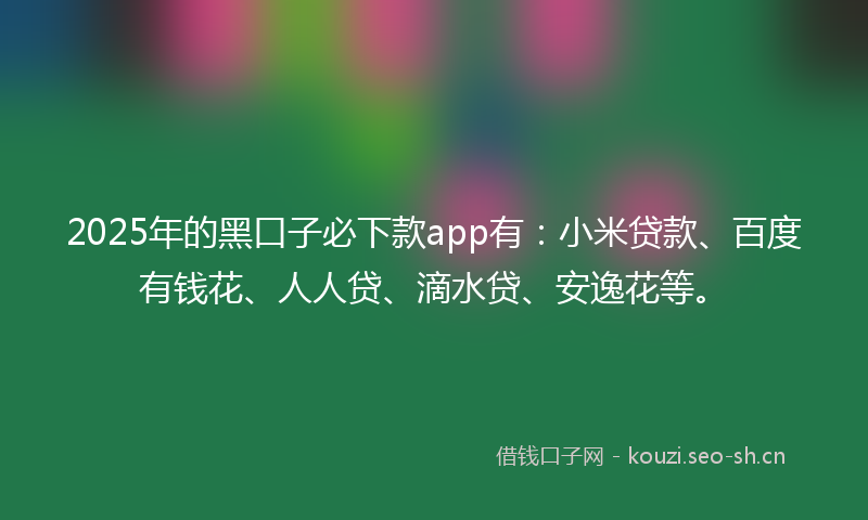2025年的黑口子必下款app有：小米贷款、百度有钱花、人人贷、滴水贷、安逸花等。