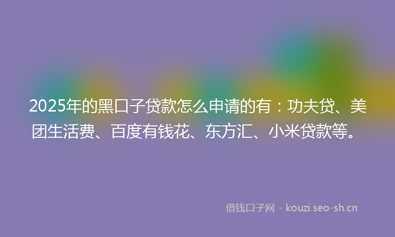 2025年的黑口子贷款怎么申请的有:功夫贷、美团生活费、百度有钱花、东方汇、小米贷款等。